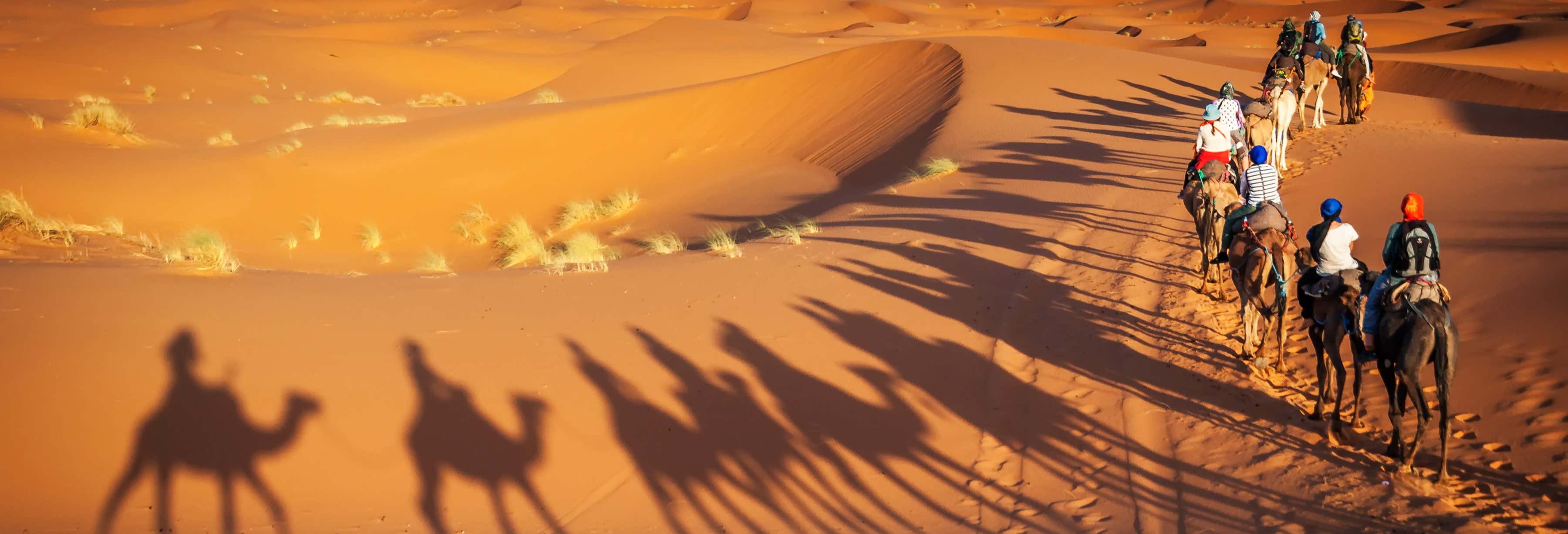 Tour packages in Fez