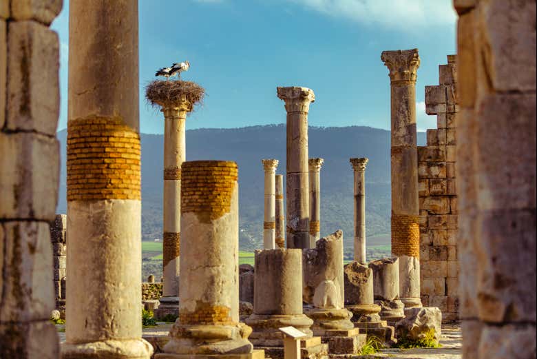 Columnas de Volubilis