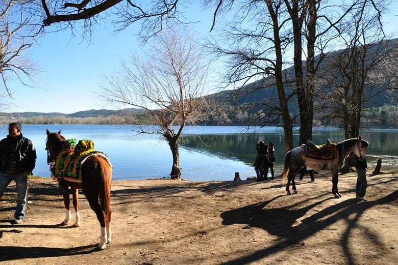 One of the lakes in the natural park of Ifrane