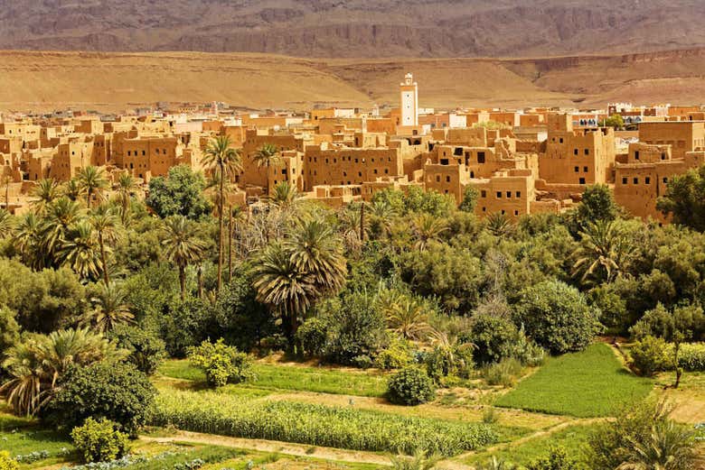 Vue panoramique sur la palmeraie de Tafilalet