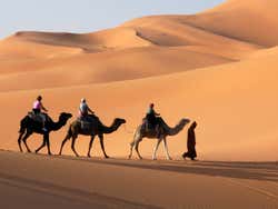 Deserto di Merzouga, cammelli