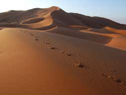 Deserto di Merzouga