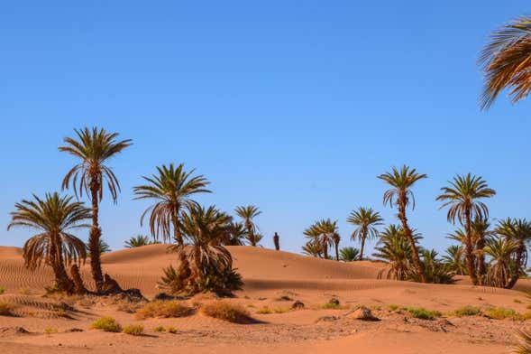 Excursión de 2 días al desierto de Zagora