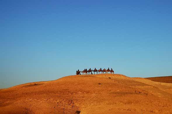 Escursione al deserto di Agafay