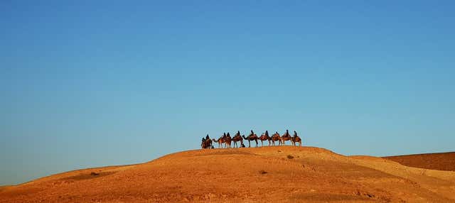 Excursão ao deserto de Agafay
