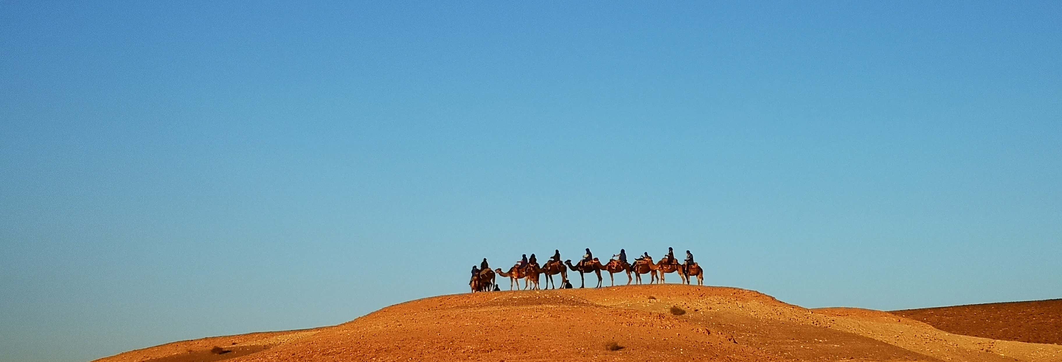 Escursioni e gite organizzate da Marrakech