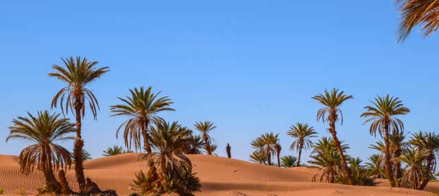 Excursão de 2 dias ao deserto de Zagora