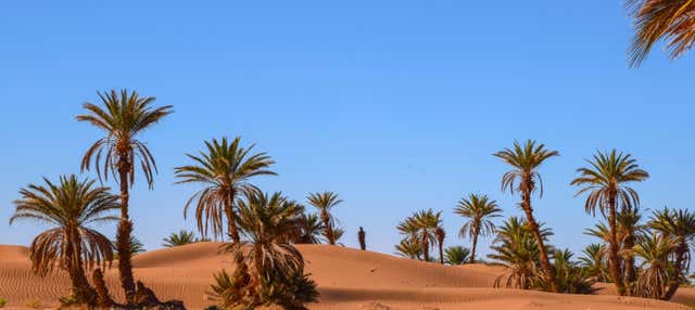 Excursión de 2 días al desierto de Zagora