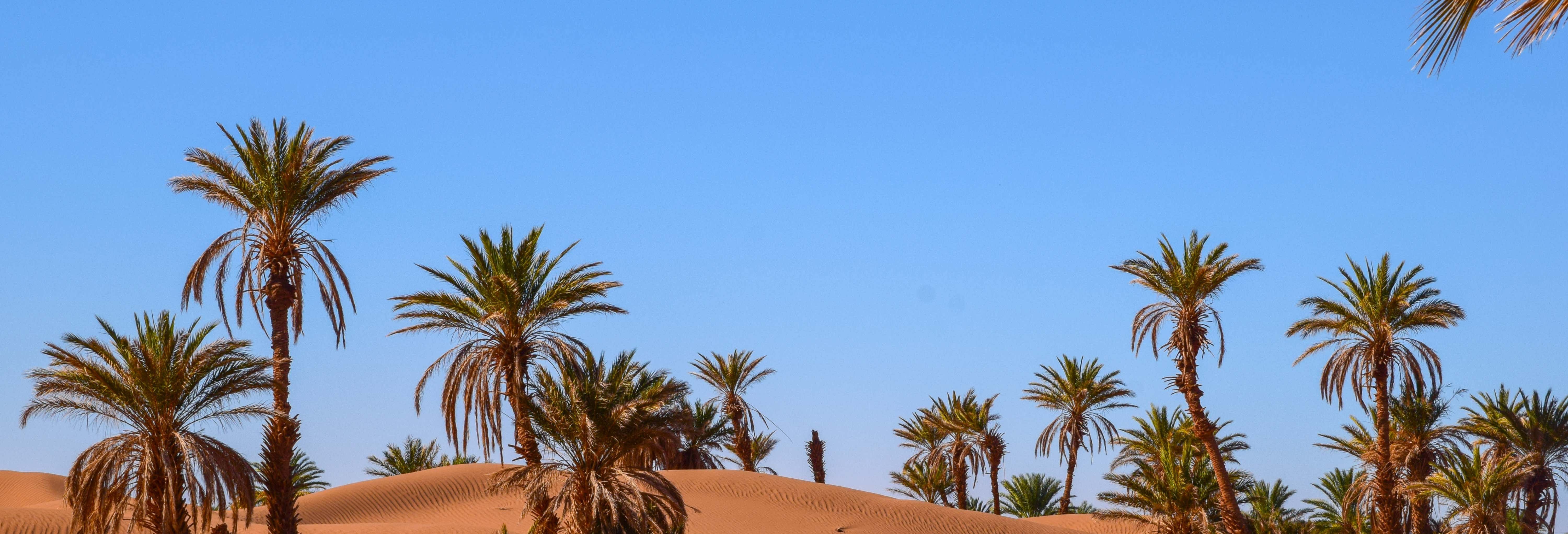 Tour ed escursioni di più giorni da Marrakech
