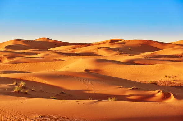 Excursión privada al desierto