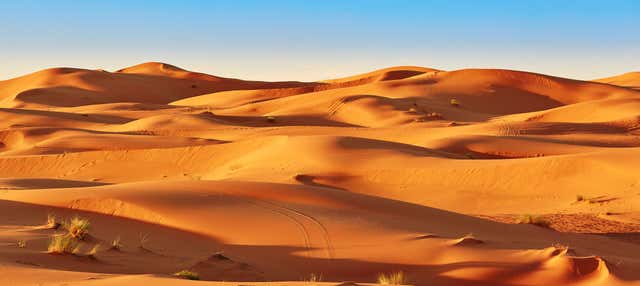 Excursión privada al desierto