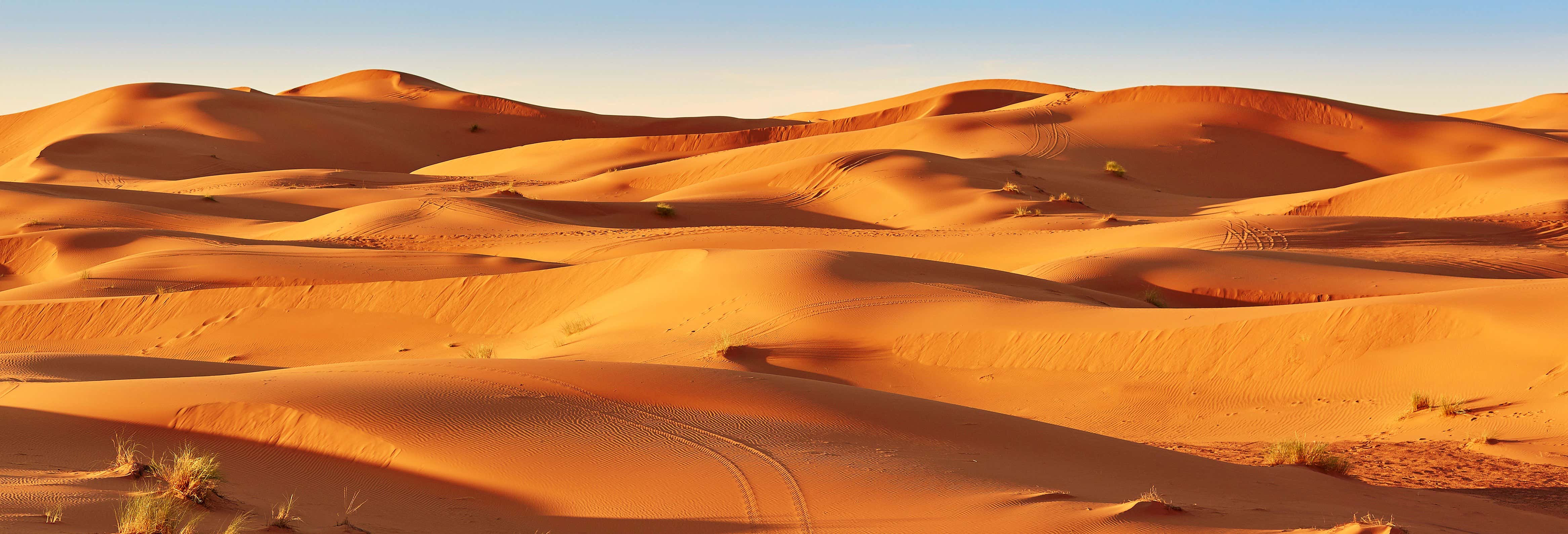 Tour Packages in Marrakech