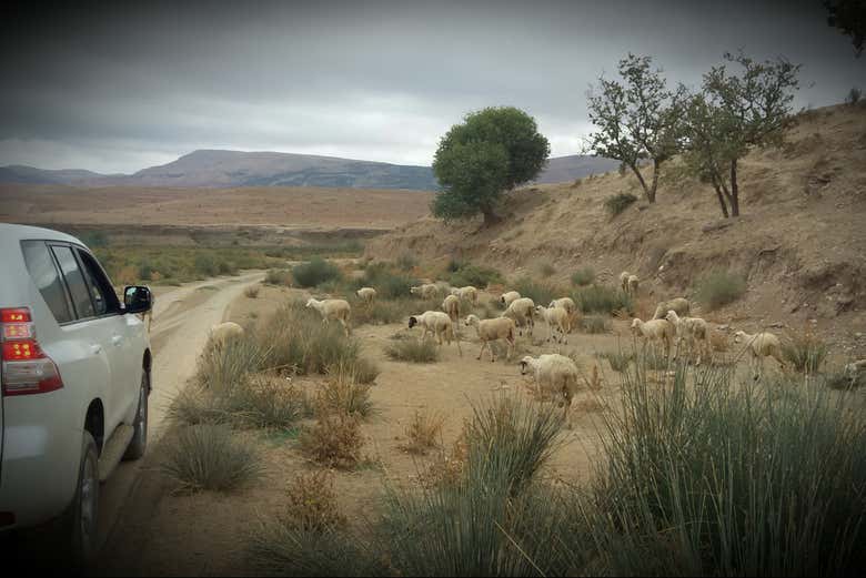Baladez-vous en 4x4 dans le Haut Atlas
