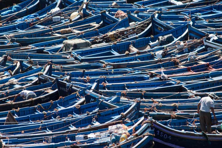 Boats at the port