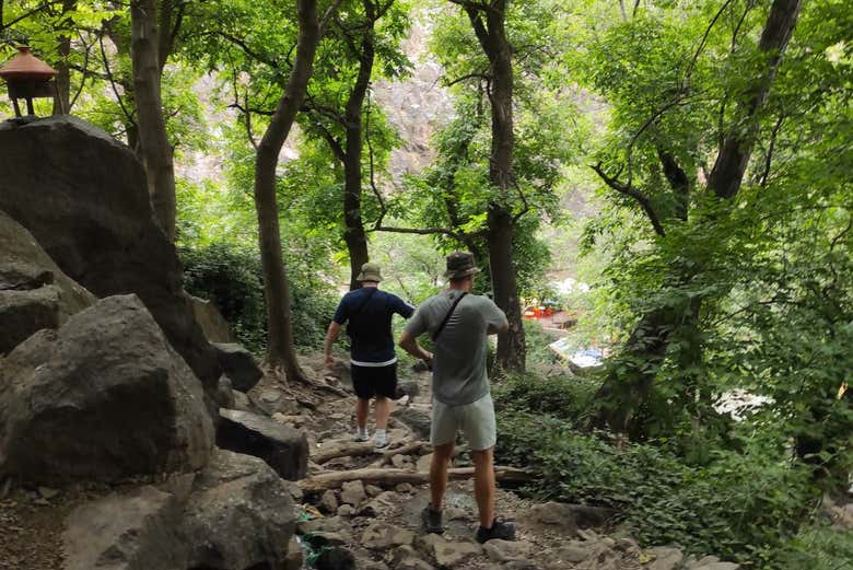 Bosques de las Montañas del Atlas