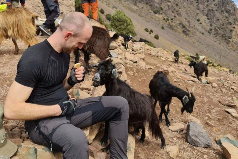 Podréis interactuar con la fauna local