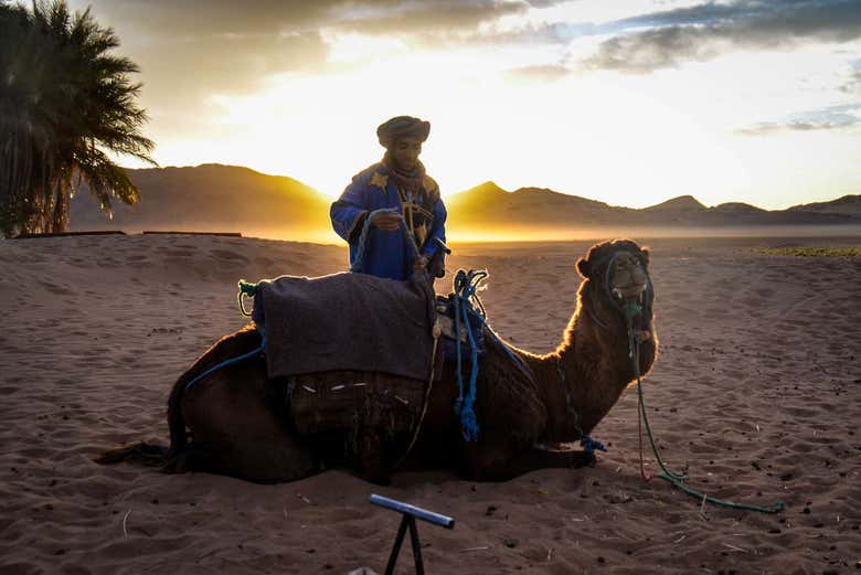 Homme avec un chameau dans le désert de Zagora