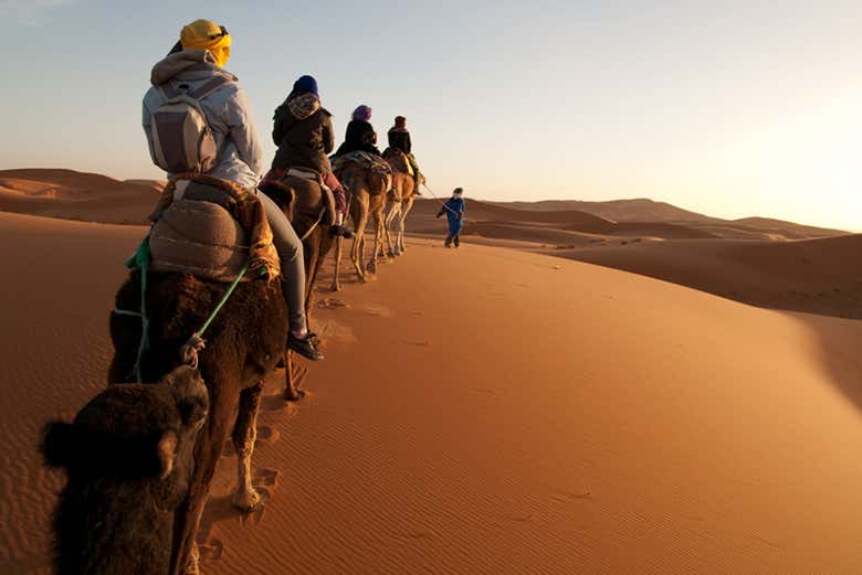 Camelos atravessando o deserto de Merzouga