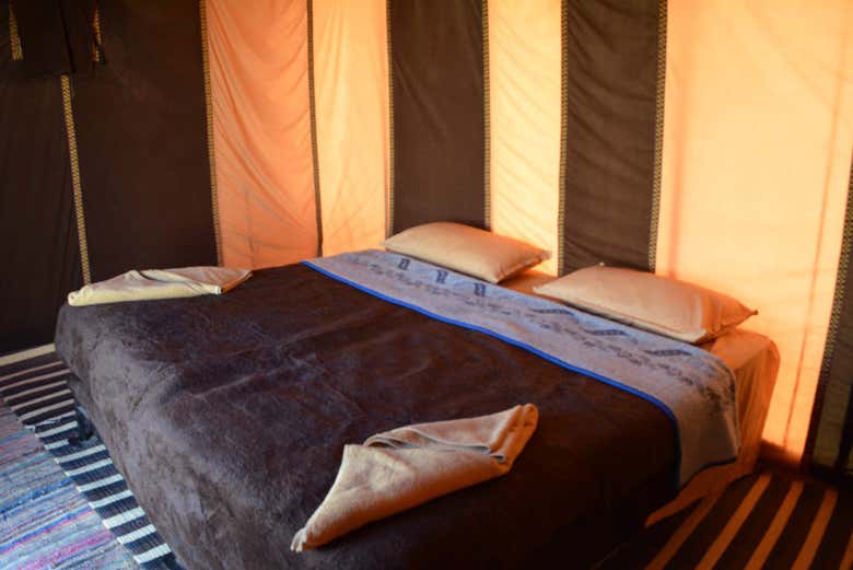 Campamento estándar
