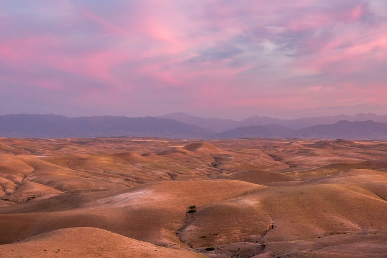 The Agafay desert at sunset