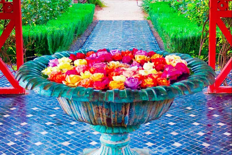 Os sorprenderá el aroma de las flores