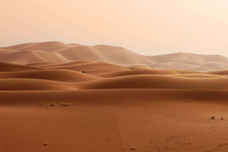 Les dunes du désert