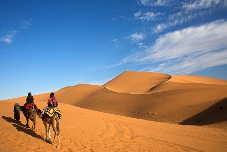 Camelos atravessando o deserto de Merzouga