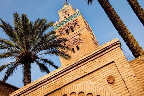 Palmeral en Marrakech