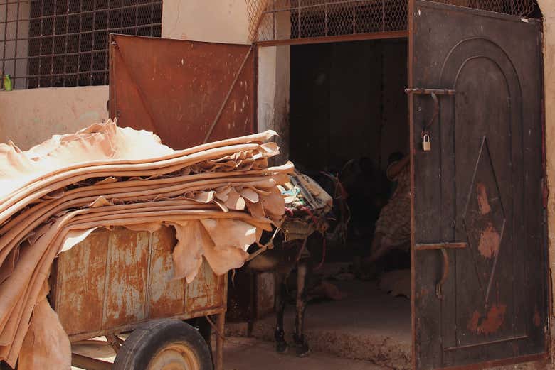 Imagen típica en la cotidianidad de la Medina de Marrakech