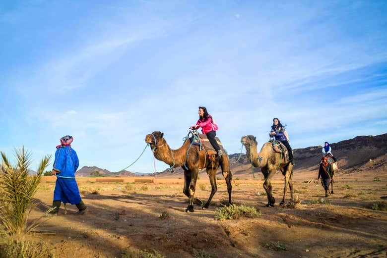 Paseando por el desierto