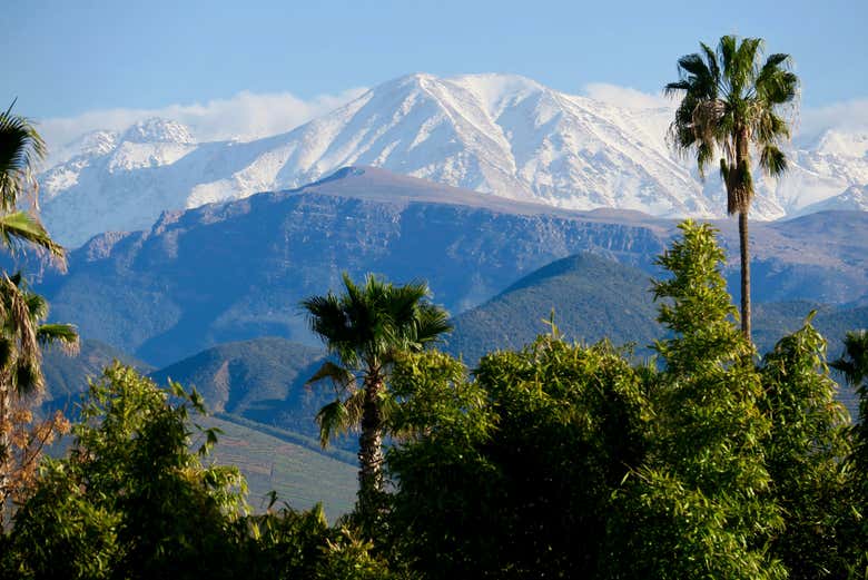 Picos nevados