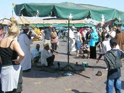 Snake charmer in Jemaa el Fna