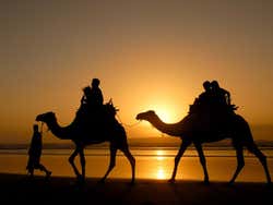 Essaouira, camel ride on the beach