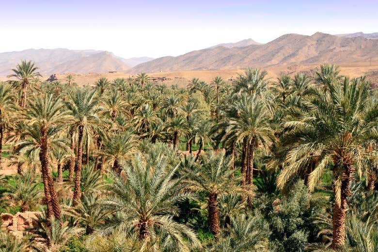 Valle del Draa, el inicio del desierto