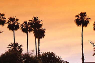 Palmeiral de Marrakech