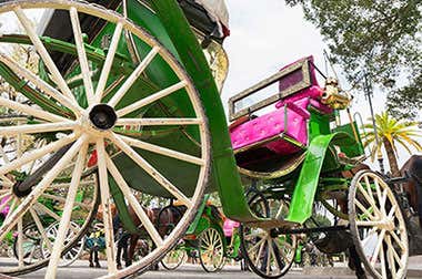 Horse Drawn Carriage Rides