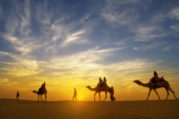 Giro in cammello nel deserto con cena e spettacolo