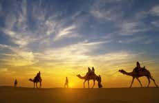 Giro in cammello nel deserto con cena e spettacolo