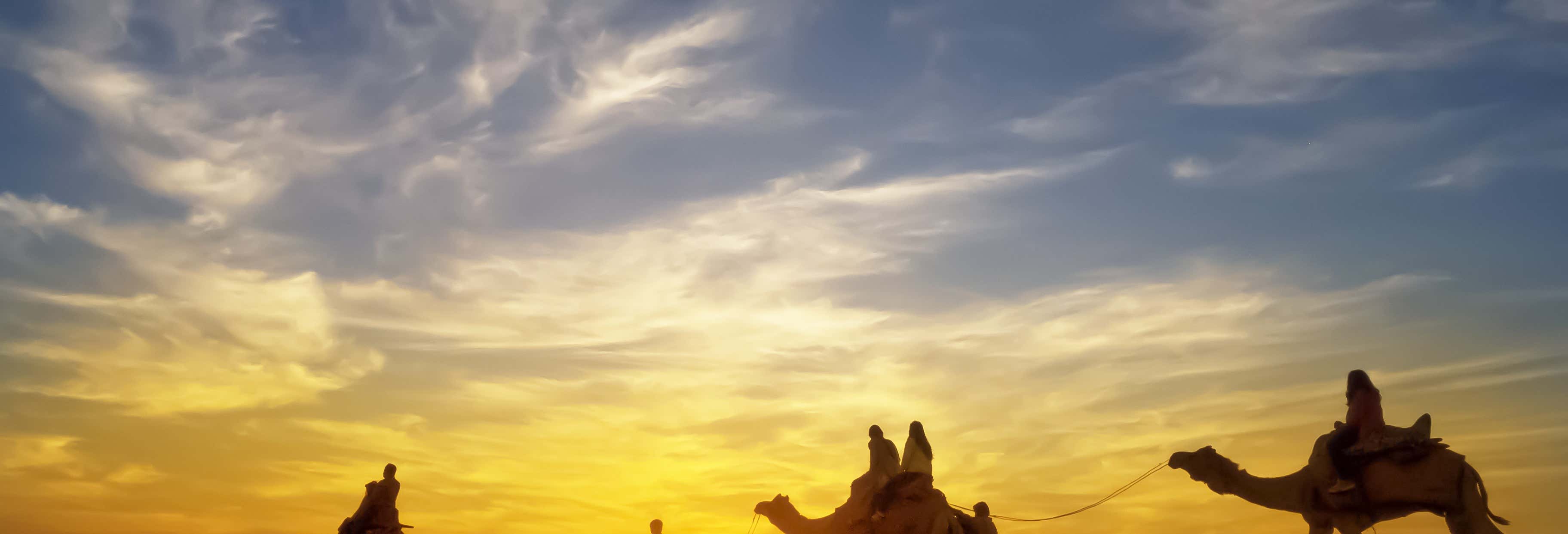 Acción y naturaleza