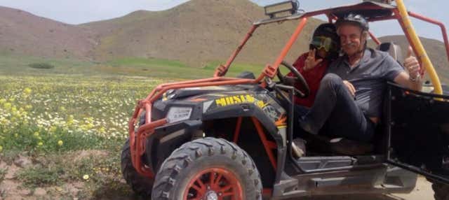 Desert Buggy Tour