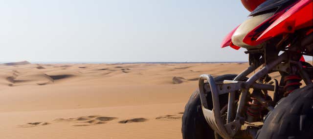 Marrakech Palm Grove Quad Bike Tour