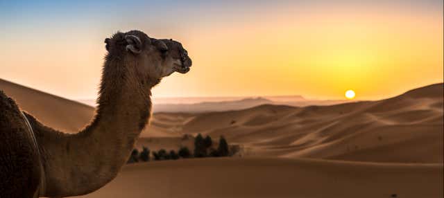 Amanhecer ou entardecer no deserto de Merzouga