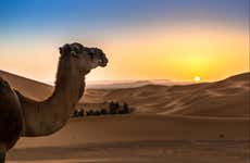Desert Sunrise or Sunset in Merzouga