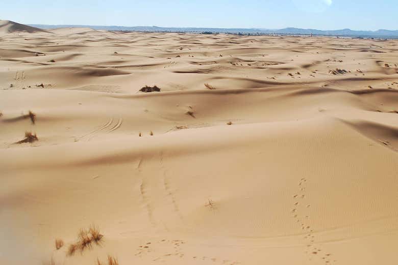 Dunes