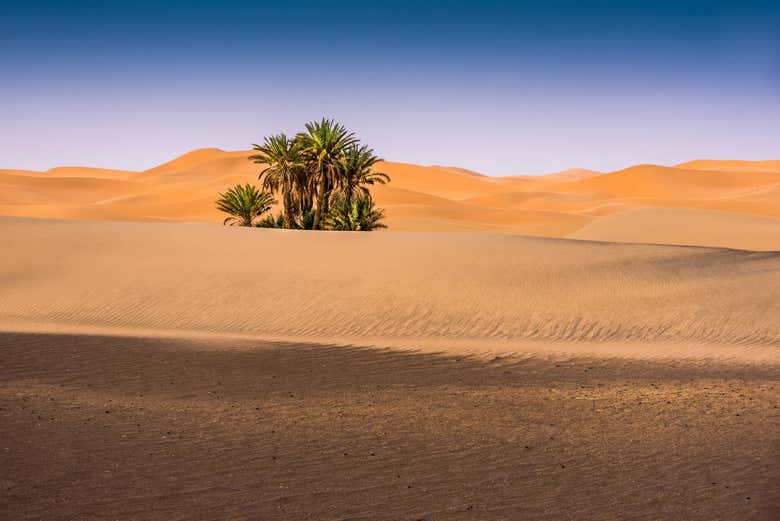 Désert de Merzouga