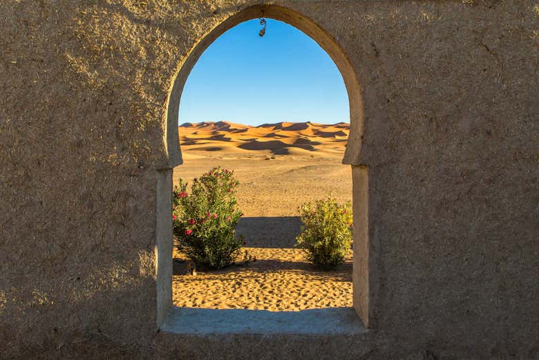 Vue sur une oasis