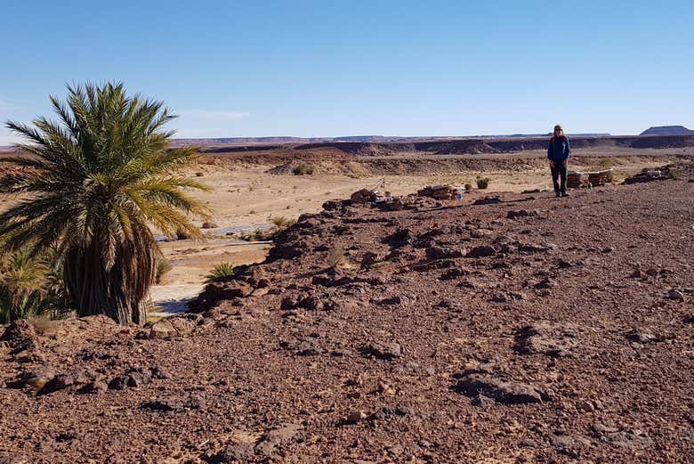 Admirez les paysages désertiques