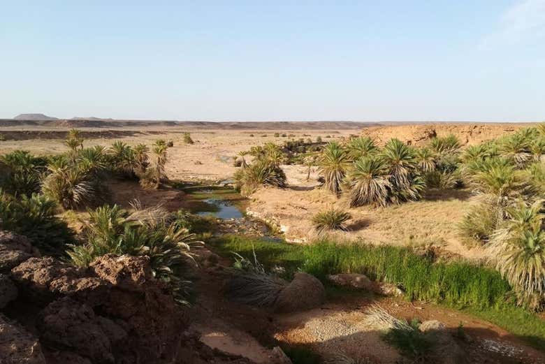 Vous découvrirez une oasis secrète