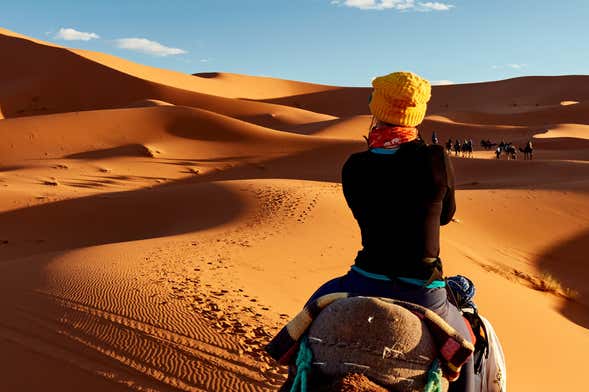 Paseo en camello y noche en el desierto