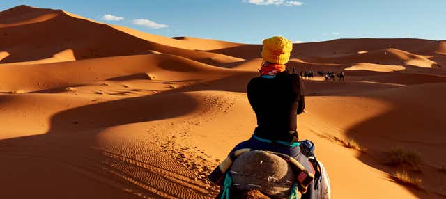 Paseo en camello y noche en el desierto